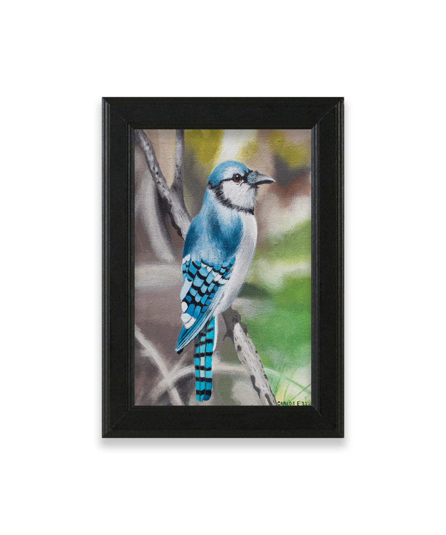 Blue Jay